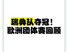 关于瑞典队面对挑战，成功晋级欧洲杯正赛的信息